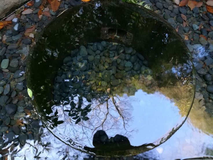 d0c15692-aead-4a37-83a7-21abf1289e84