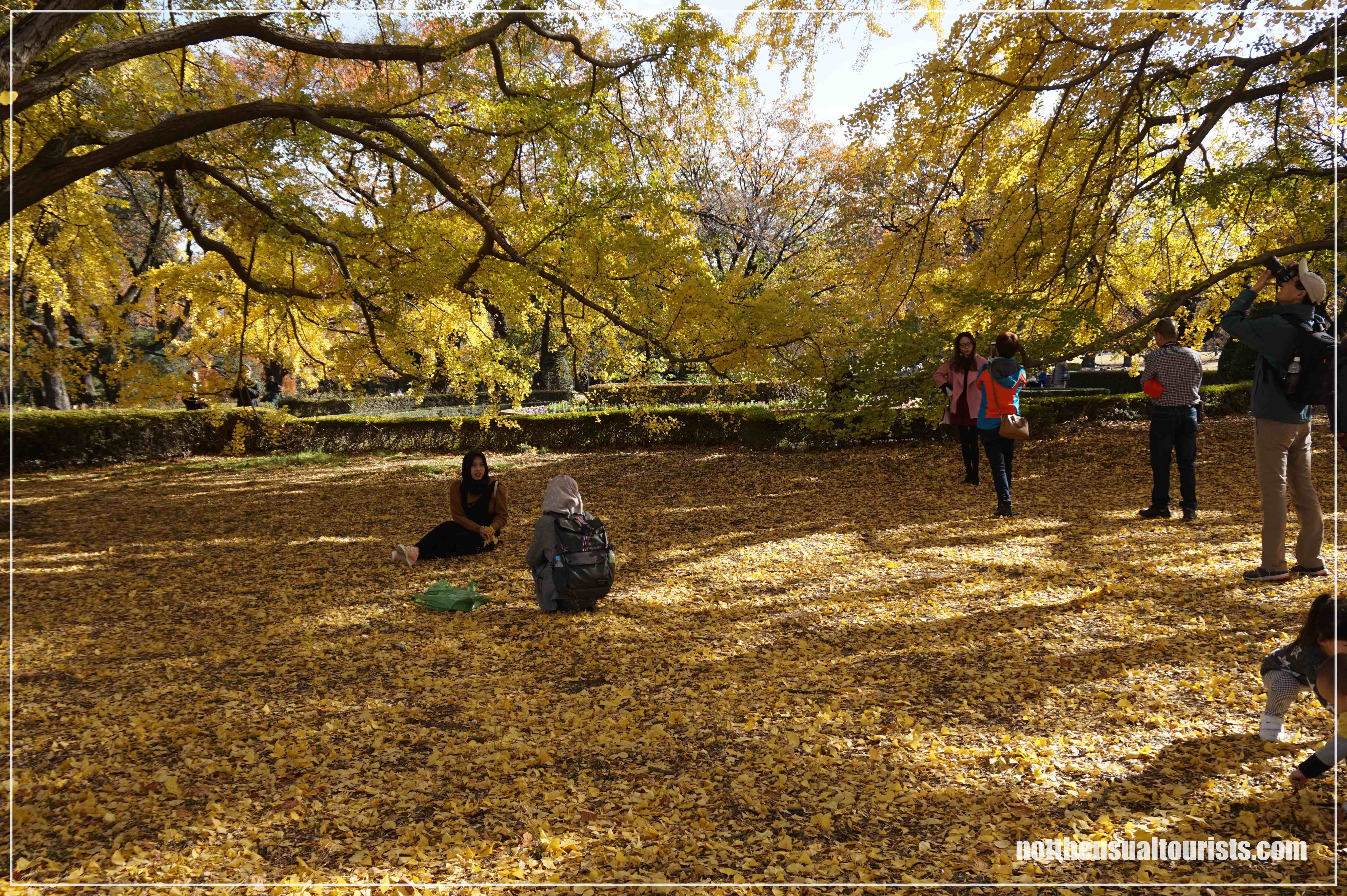 People watching at Shinjuku Gyoen