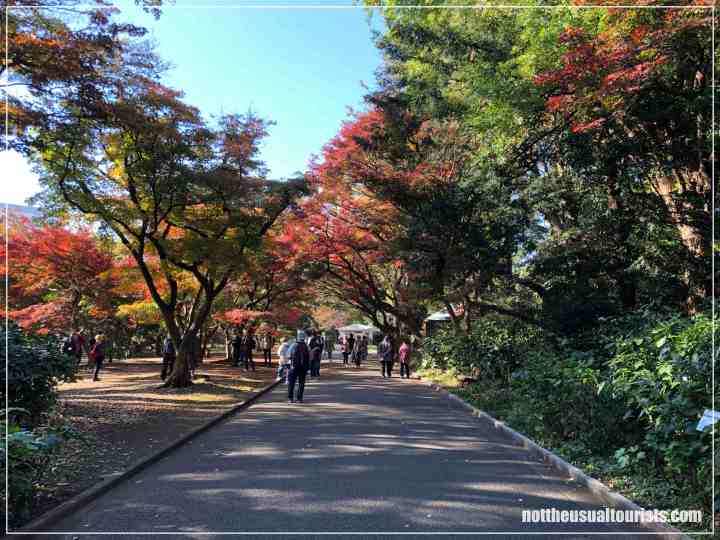 Main road in Shinjuku Gyoen