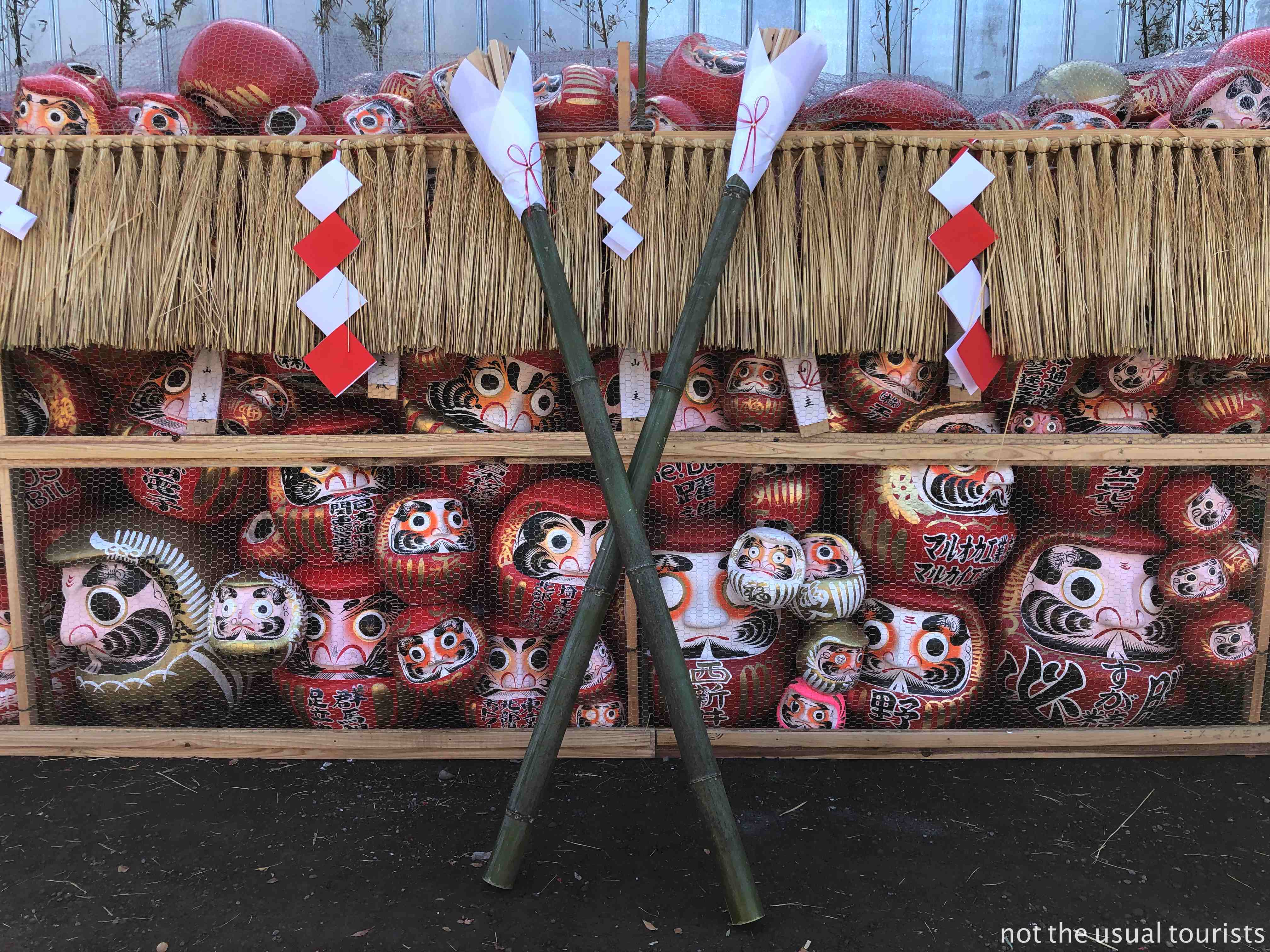 Le torce cerimoniali che verranno usate per dar fuoco ai daruma